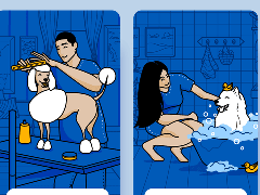 ?成功的寵物APP開發的重要方面